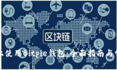 如何在电脑上使用Bitpie钱包：全面指南与常见问
