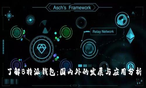 了解B特派钱包：国内外的发展与应用分析