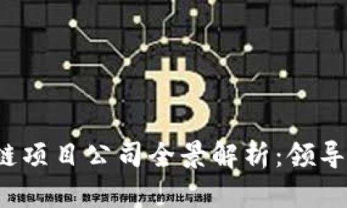  河南区块链项目公司全景解析：领导者与创新者