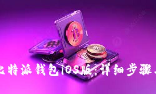 如何安装比特派钱包iOS版：详细步骤与使用指南