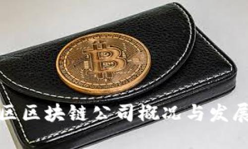 蔡甸区区块链公司概况与发展趋势