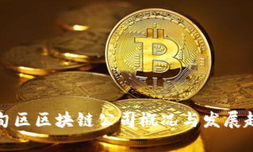 蔡甸区区块链公司概况与发展趋势