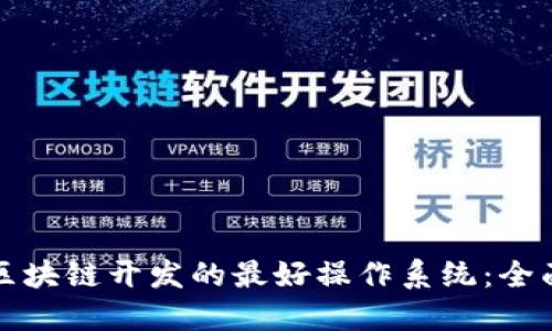 探索区块链开发的最好操作系统：全面指南