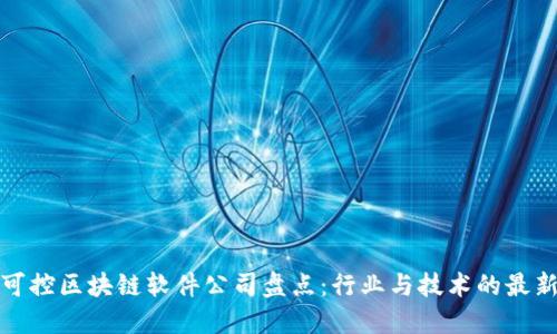 全球可控区块链软件公司盘点：行业与技术的最新发展