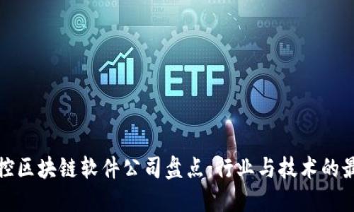 全球可控区块链软件公司盘点：行业与技术的最新发展