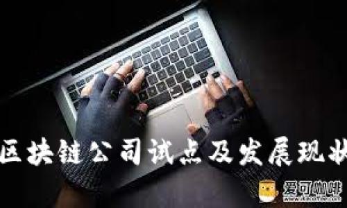 武汉区块链公司试点及发展现状分析