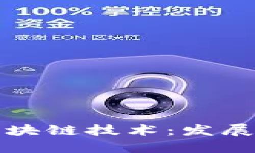 会计领域中的区块链技术：发展现状与未来展望