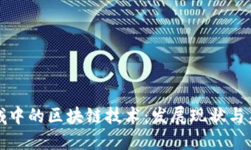 会计领域中的区块链技术：发展现状与未来展望
