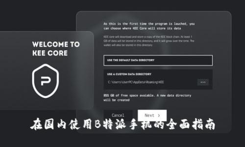在国内使用B特派手机的全面指南