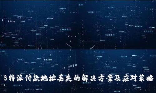 B特派付款地址丢失的解决方案及应对策略