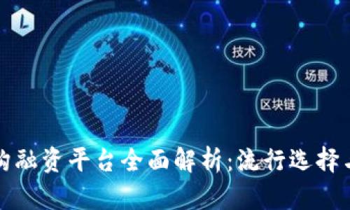 区块链机构融资平台全面解析：流行选择与未来趋势