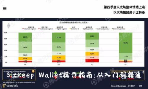 BitKeep Wallet操作指南：从入门到精通