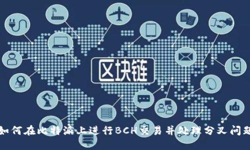 如何在比特派上进行BCH交易并处理分叉问题