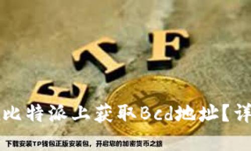 如何在比特派上获取Bcd地址？详尽指南