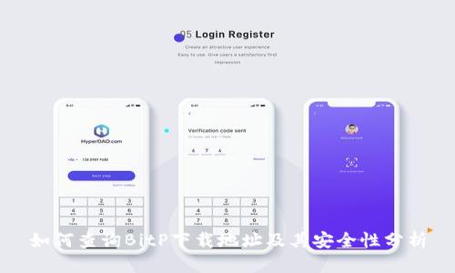 如何查询BitP下载地址及其安全性分析