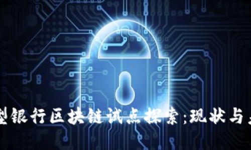 大型银行区块链试点探索：现状与未来