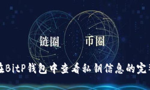如何在BitP钱包中查看私钥信息的完整指南