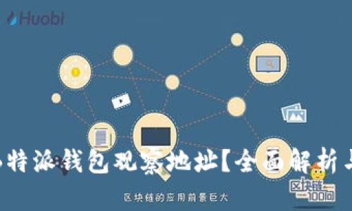 如何使用B特派钱包观察地址？全面解析与实用技巧