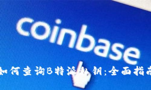 如何查询B特派私钥：全面指南