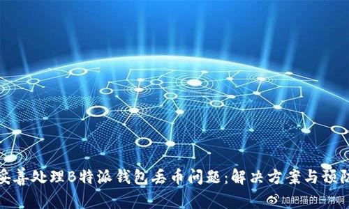 如何妥善处理B特派钱包丢币问题：解决方案与预防措施