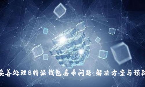 如何妥善处理B特派钱包丢币问题：解决方案与预防措施