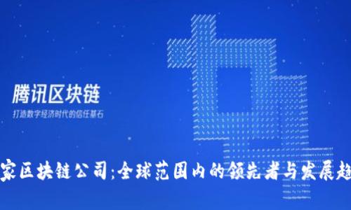 国家区块链公司：全球范围内的领先者与发展趋势