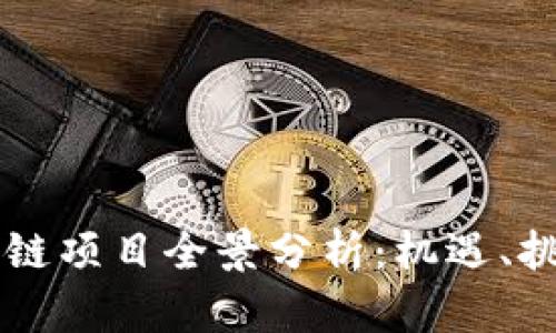高密电商区块链项目全景分析：机遇、挑战与未来发展