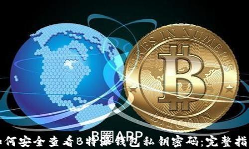 
如何安全查看B特派钱包私钥密码：完整指南