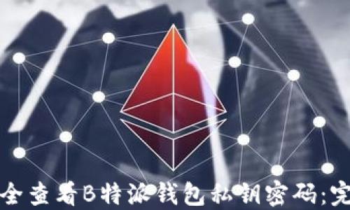 
如何安全查看B特派钱包私钥密码：完整指南