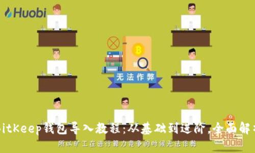 BitKeep钱包导入教程：从基础到进阶，全面解析