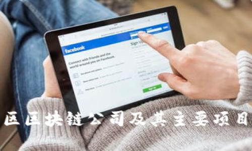 赣榆区区块链公司及其主要项目详解