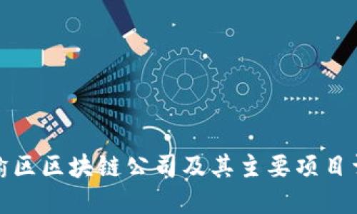 赣榆区区块链公司及其主要项目详解