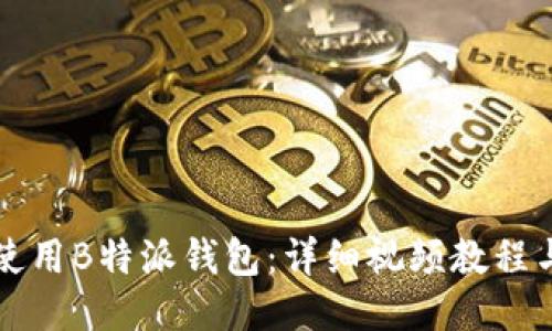 如何使用B特派钱包：详细视频教程与指南