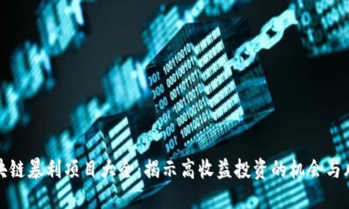 区块链暴利项目大全：揭示高收益投资的机会与风险