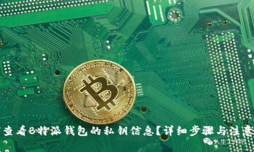 如何查看B特派钱包的私钥信息？详细步骤与注意事项