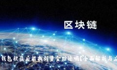 Bitpie 钱包被盗后能找到资金踪迹吗？全面解析与