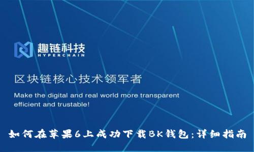 如何在苹果6上成功下载BK钱包：详细指南