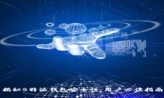 揭秘B特派钱包安全性：用户必读指南