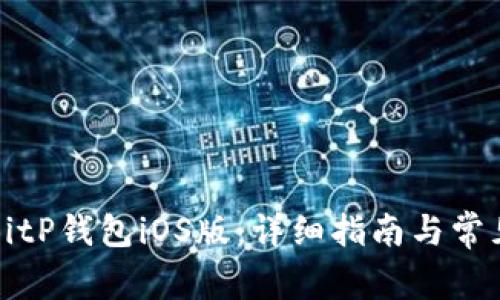 如何下载BitP钱包iOS版：详细指南与常见问题解答