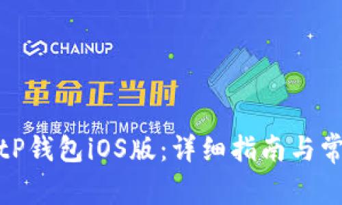 如何下载BitP钱包iOS版：详细指南与常见问题解答