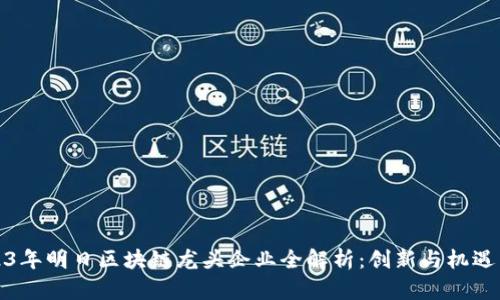2023年明日区块链龙头企业全解析：创新与机遇并存