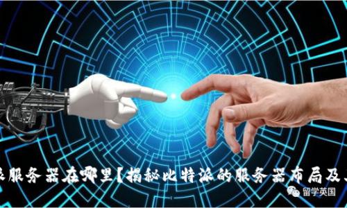 比特派服务器在哪里？揭秘比特派的服务器布局及其影响