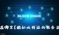 比特派服务器在哪里？揭秘比特派的服务器布局