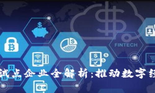 厦门区块链试点企业全解析：推动数字经济的新力量