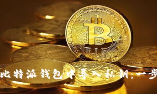 如何在比特派钱包中导入私钥：一步步指南
