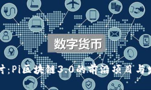 深入探讨：Pi区块链3.0的前沿项目与发展趋势