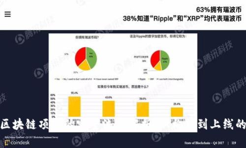 : 开发区块链项目的完整流程解析：从构想到上线的每一步