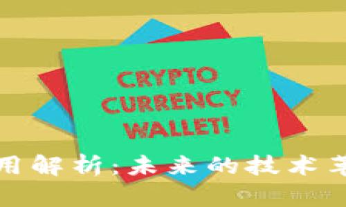 区块链领域应用解析：未来的技术革命与商业机遇