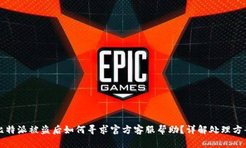 比特派被盗后如何寻求官方客服帮助？详解处理方案