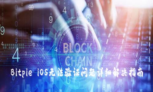 Bitpie iOS无法验证问题详细解决指南